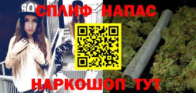 прущие грибы Краснодар
