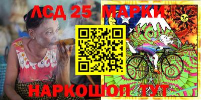 прущие грибы Краснодар