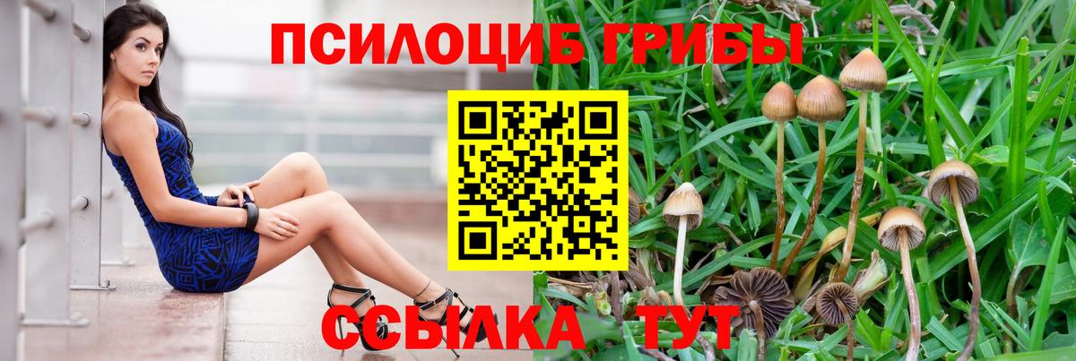 Галлюциногенные грибы MAGIC MUSHROOMS  Вход с VPN  Псилоцибиновые грибы ЛСД  Электросталь 